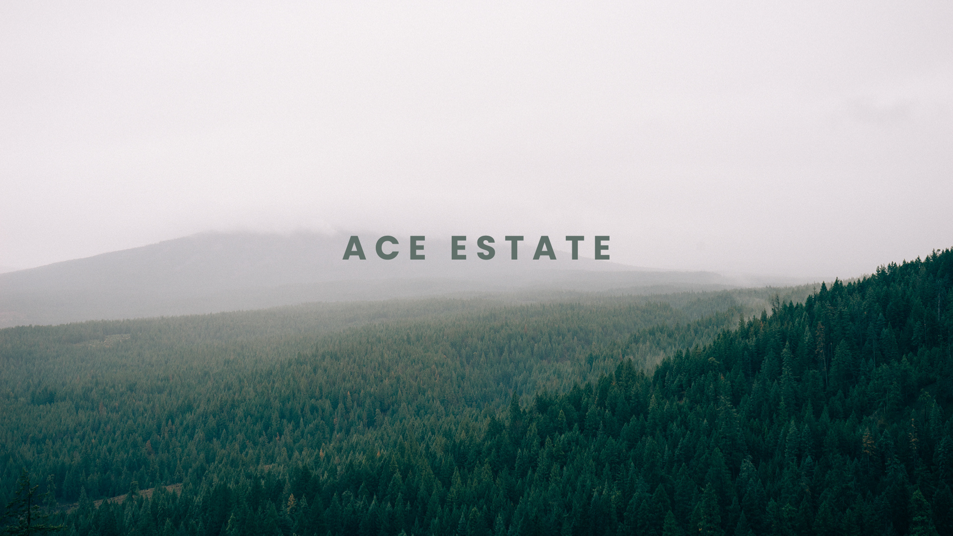 ace-estate.photos